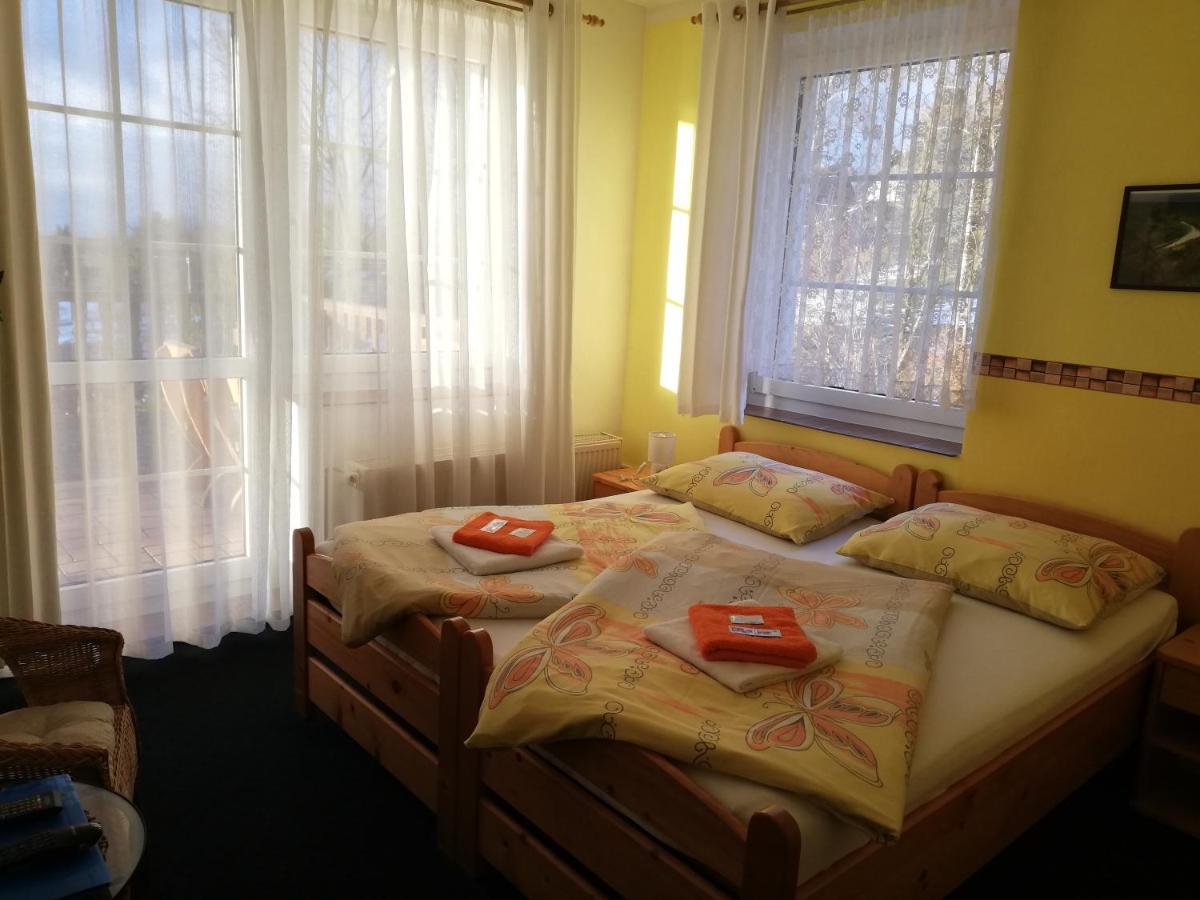 Pension Pastis Janov Exterior foto